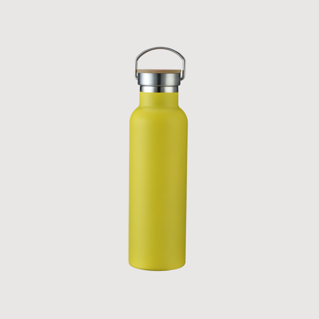 Double wall vacuum stainless steel bottle