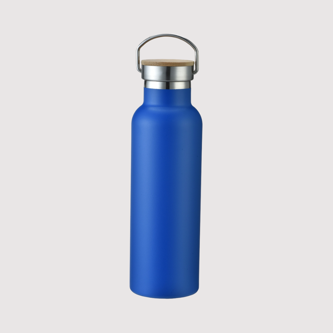 Double wall vacuum stainless steel bottle